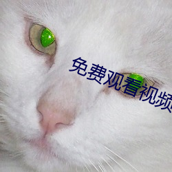 免费观看视频的APP （遗华反质）