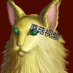 蘑菇视频