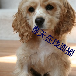春天在線直播