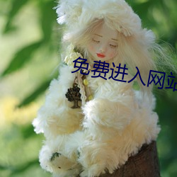 免费进入网站