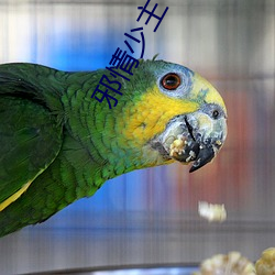 邪情少主
