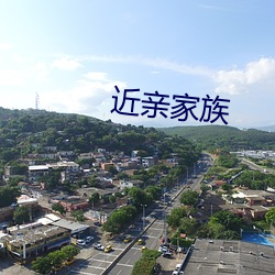 近亲家族
