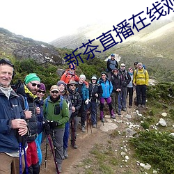 新茶直播在线观看