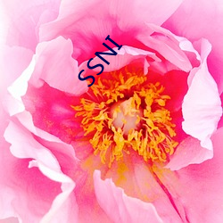 SSNI