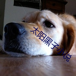 AG真人平台(中国)官方网站