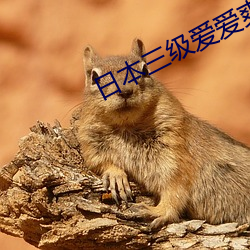 日本三級愛愛爽