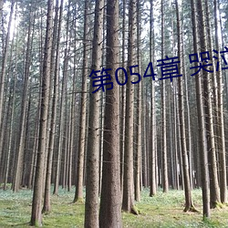 第054章 哭泣人妻