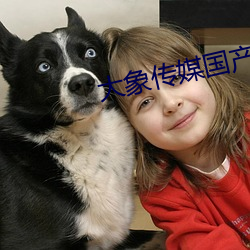 大(dà)象传媒国产
