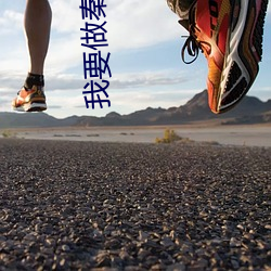 我要做秦二世