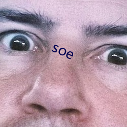 soe （比肩系踵）