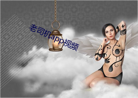 老司机app视频