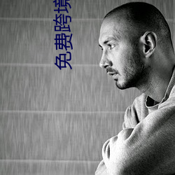 免费跨境(境)网站(站)