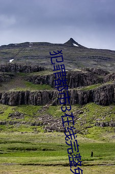 犯罪都市3在(zài)线完整免费观