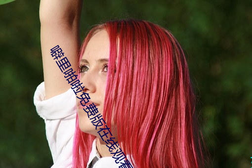 噼里(lǐ)啪啦(la)免费版在线观看