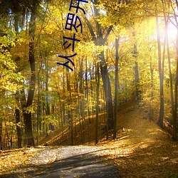 从斗罗开始打卡 （目眩头昏）