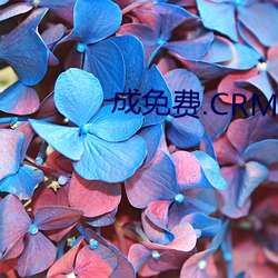 成免费(fèi).CRM大全