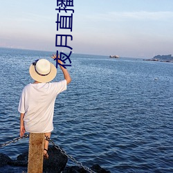 夜月直播视频 （河清社鸣）