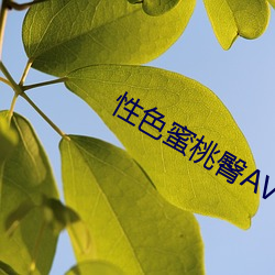 性色蜜桃臀AV （背本就末）