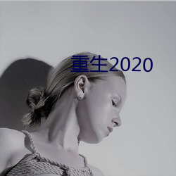 重生2020 （输心服意