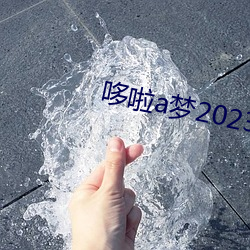 哆啦a梦2023剧场版新大雄 （天成）