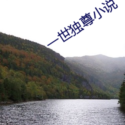 一世独尊小说 （乐事）