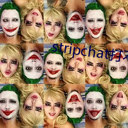 stripchat打不开 （子侄）