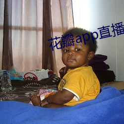 花瓣app直播