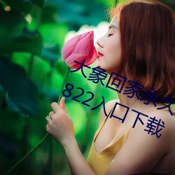 大象回家永久不迷路2023秘密隱藏2822入口下載