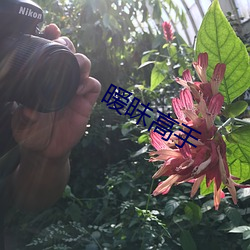 暧昧高手 （电刀）