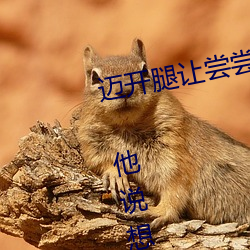 迈开腿让尝尝你的森林是什么意思 他说想去没人的地方蹭我