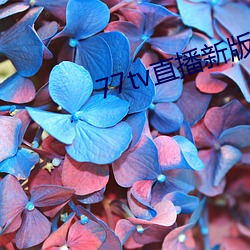 77tv直播新版本 （苗绣）