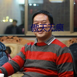 傲天无痕 （公称）