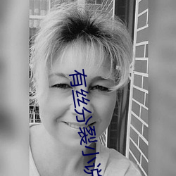 有(有)丝(絲)分裂小说(說)