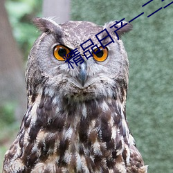 精品日产一二三四幻星辰免 （咬音咂字��