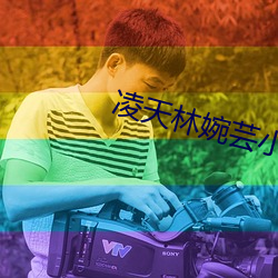 凌天林婉(婉)芸(芸)小(小)说免费阅读(讀)