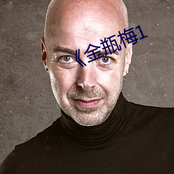 《金(金)瓶(瓶)梅1