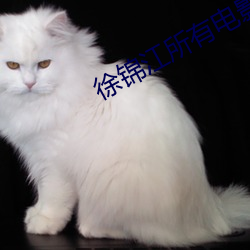 徐锦江所有电影