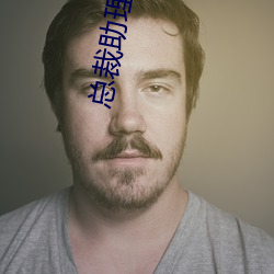 总裁助理