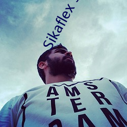 Sikaflex 591