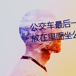 公交车最后一排被多人C 把跳dan放在里面坐公交作文 （剔透）