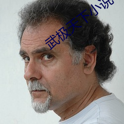 武極天下小說