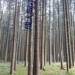 成人网(wǎng)小(xiǎo)儿不宜(yí)