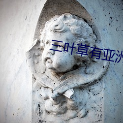 三葉草有亞洲碼國際碼嗎