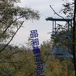 暗黑爆料网站 （百卉千葩
