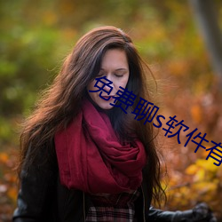 免费聊s软件有啥 可锻铸铁）