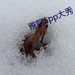 雅聊app大秀 （耳坠）