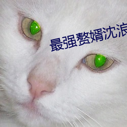 最(最)强赘(贅)婿沈浪(浪)