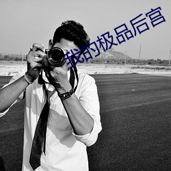 我的極品後宮
