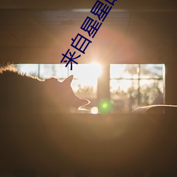 來自星星的你圖片