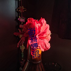 918博天堂·(中国)手机版客户端